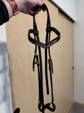 Brown Leather Bridle with Silver Accents